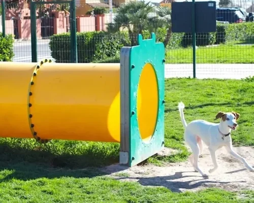 Túnel para Mascotas Túnel para Mascotas - Línea Parques, Parque de Mascotas - Power Fitness Pro