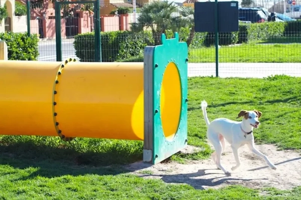 Túnel para Mascotas - Línea Parques, Parque de Mascotas - Power Fitness Pro