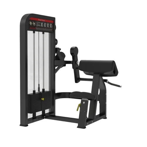 BICEPSs y triceps Bíceps y Tríceps - Pro2, Línea Profesional para trabajar bíceps, tríceps - Power Fitness Pro