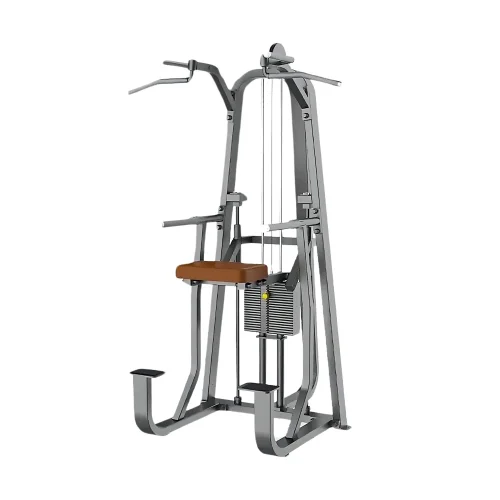 Fondos Dominadas Y Paralelas Asistidas Fondos Dominadas Y Paralelas Asistidas - Evo, Línea Profesional para trabajar espalda, pecho - Power Fitness Pro