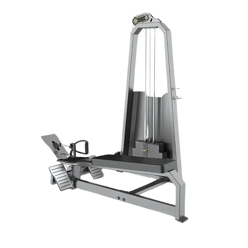 Polea Baja Polea Baja - Evo, Línea Profesional para trabajar espalda - Power Fitness Pro